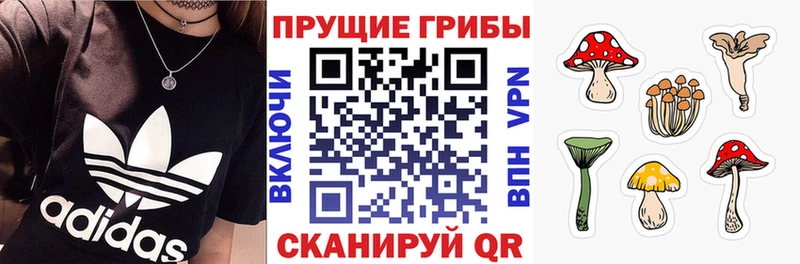 Галлюциногенные грибы прущие грибы  Островной 